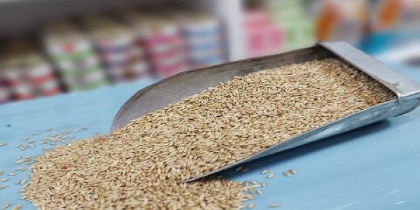 تصویر 4 از خرید و قیمت تخم کتان سفید + فروش صادراتی